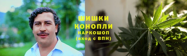 PSILOCYBIN Балахна