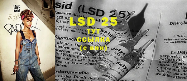 PSILOCYBIN Балахна