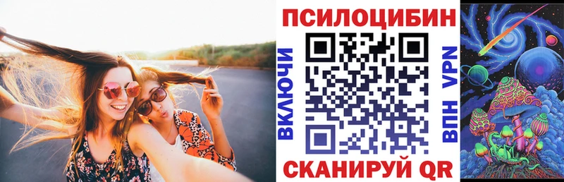 купить наркотик  Грязи  сайты даркнета формула  Псилоцибиновые грибы MAGIC MUSHROOMS 